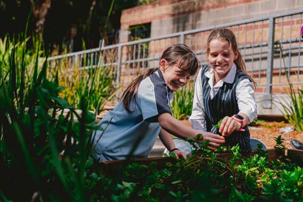 St Joseph's Catholic Primary School Como-Oyster Bay Environment Team